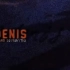 【M€I】Edenis Full Ver. 「战双帕弥什: 永夜胎动」