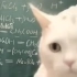 化学老师上网课是为了炫耀猫