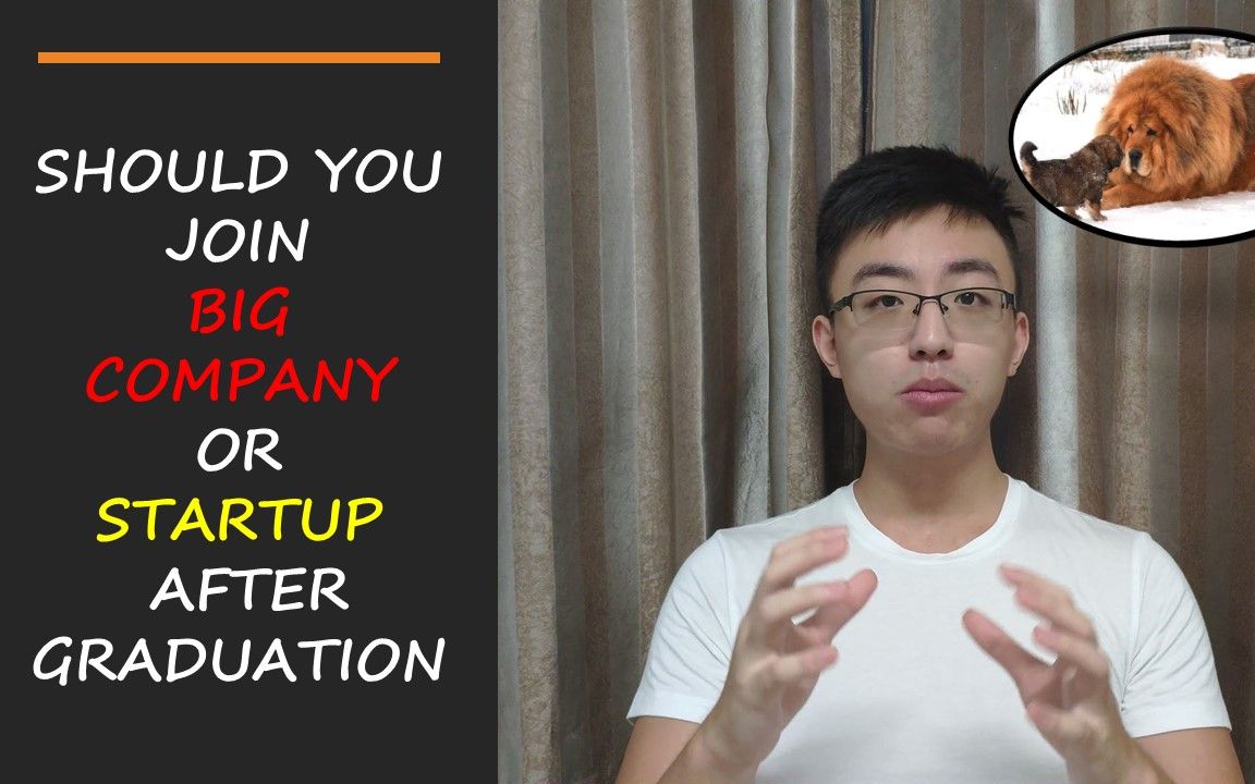 Should You Join Big Company or Startup After Graduation | 毕业后去大公司还是小公司哔哩哔哩bilibili