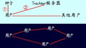 种子原理是什么_妙蛙种子进化后是什么