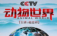 cctv《动物世界》合集(主讲:赵忠祥)【龟速更新!】