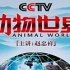 CCTV《动物世界》合集（主讲：赵忠祥）【龟速更新!!!】