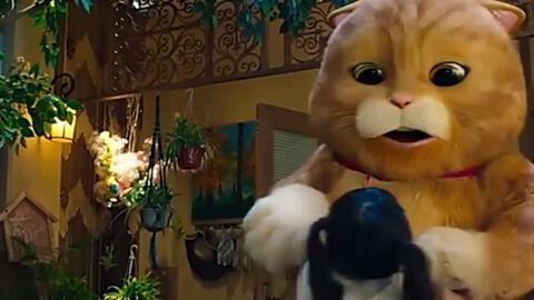 喵星人电影免费版中文 ba93adadb5df95113df3efe0bd70f267d3f9f5df.jpg@480w_270h_1c