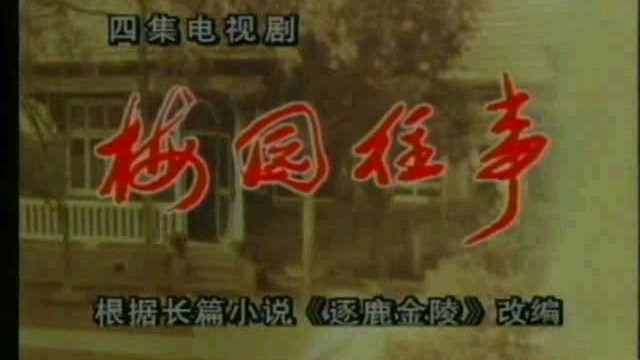 电视剧《梅园往事》