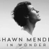 [英语中字][Netflix纪录片]肖恩·门德斯：一路走来 Shawn Mendes: In Wonder (2020)