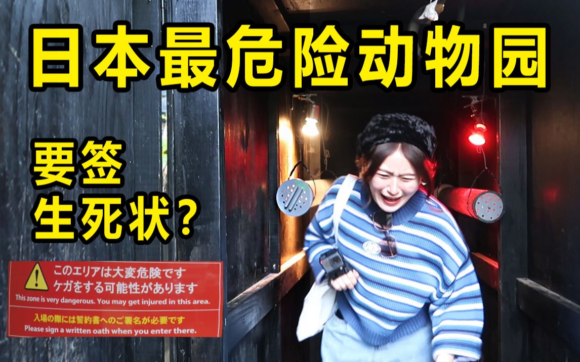 全日本最危险动物园？为拍视频女子竟签生死状.....