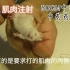 动物实验操作11-小鼠肌肉注射