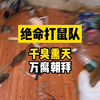 这个视频会成为你26年最难忘的回忆