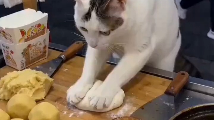 第2集 多多深夜美食