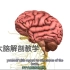 【医学动画】国外大脑解剖教学 1 「中英文字幕」