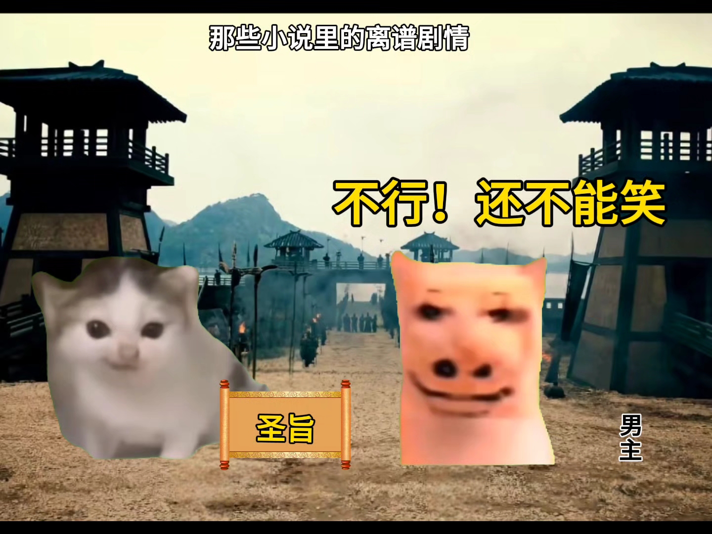【猪猫meme小剧场】更新了一条视频，快来围观！
