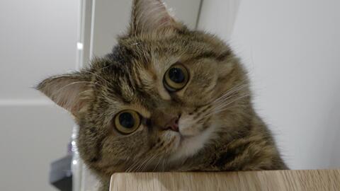 bb5a9c5c411adbcdbf45d082fc07711212695b16.jpg@480w_270h_1c