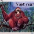 越南打猴子系列 ：拿着外挂都打不过猴子 真吉儿丢人- .-丨丨丨