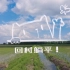 回村VLOG | 不开心就来看看蓝天白云水稻田吧！