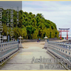 【日本巡礼-高清4K】宮崎 青島神社 | 南国宮崎のトロピカルパワースポット | Aoshima Jinja Shrine in Miyazaki