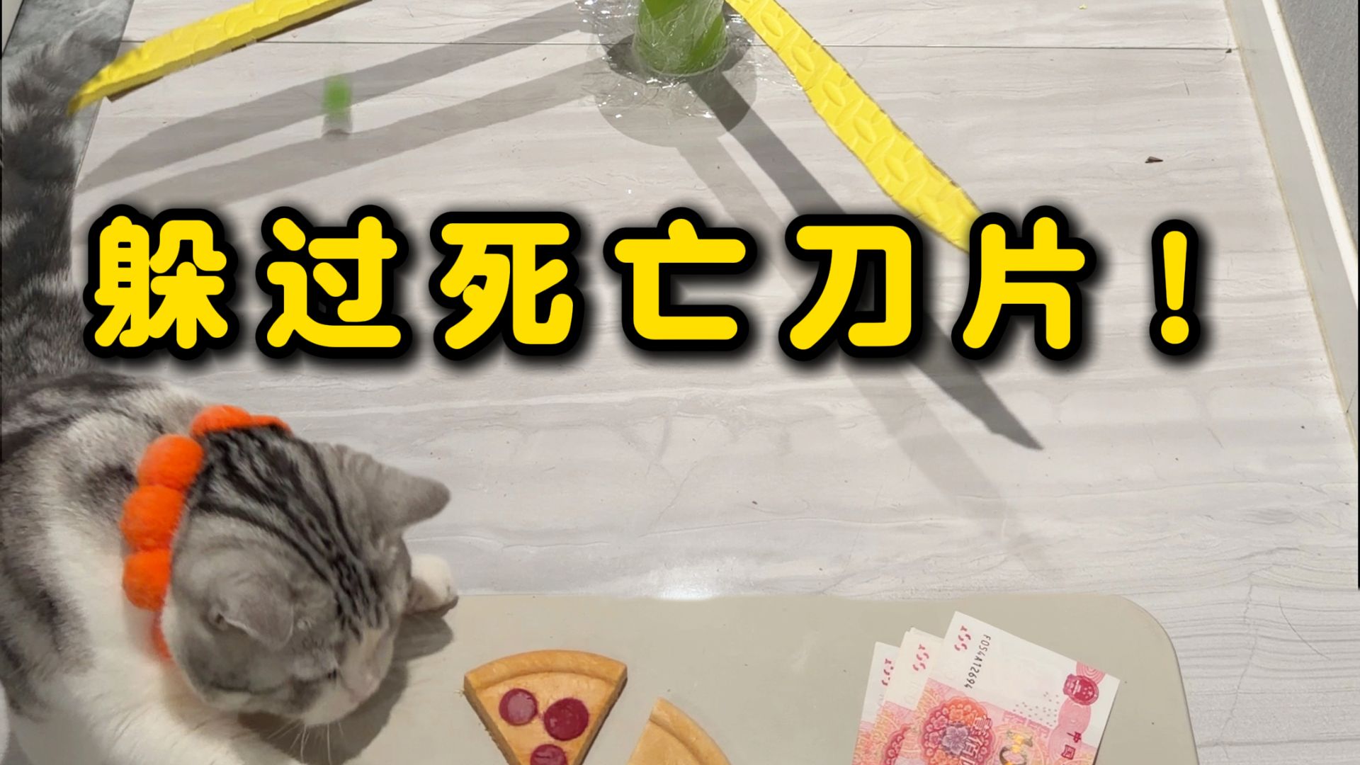 人和猫比赛穿越刀片！（2.0