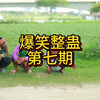 印度阿三爆笑整蛊 第七期