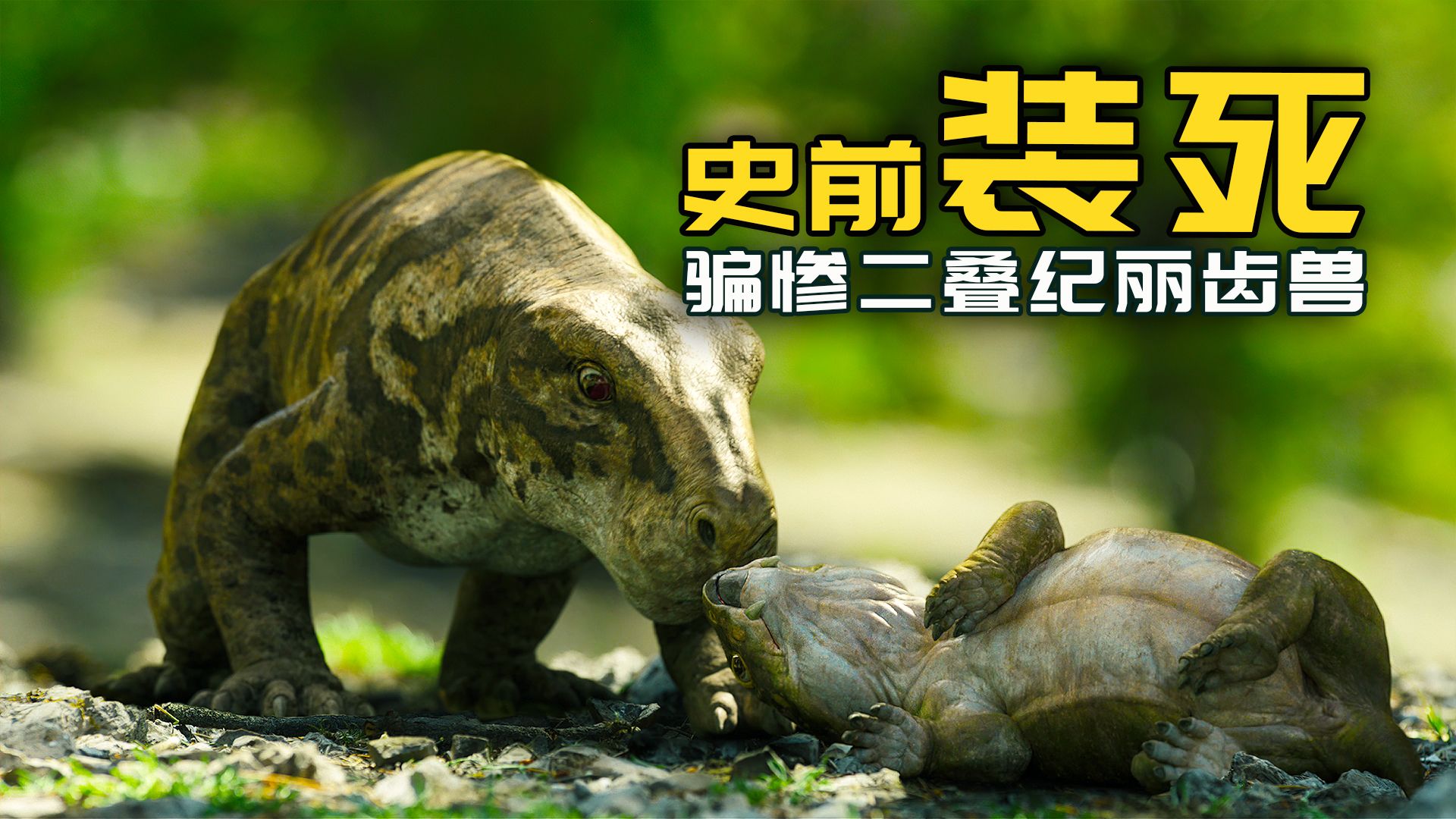 丽齿兽：我靠！！跟我卡BUG呐？？？