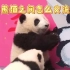 大熊猫之间怎么交流呢？