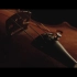 四月是你的谎言 ft.  LilyPichu - Violin_Piano Duet (四月は君の嘘) 转载自YouTu