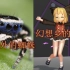 【东方MMD】原来蜘蛛的脚是长这样子的！槑叒槑~
