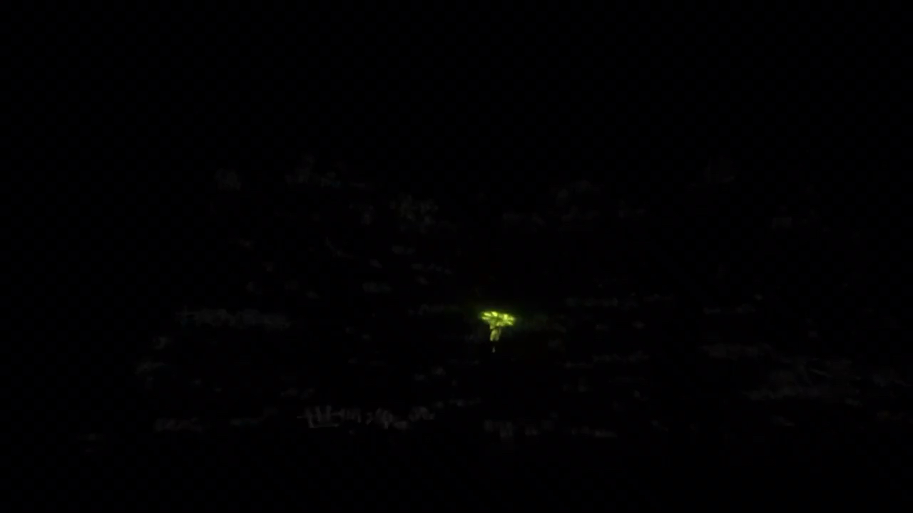 明星上的微尘_明星上的一粒微尘_韩国百想艺术大赏红毯上让明星转的摄影是什么
