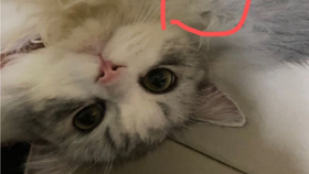 别跟我哭穷 bc0b81ee22ec82ff04189df1dc751a1b7d96a34a.jpg@280w_158h_1c_100q.jpg