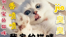 bc18179afc8a92550bdd6735611fd62baeba6329.jpg@280w_158h_1c_100q.jpg