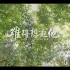 【MV】难得想起他【璧山中学版 / 献礼教师节 / 1080P】