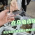 在广东最大的乌龟市场，当一分钟的老板是一种什么样的体验？