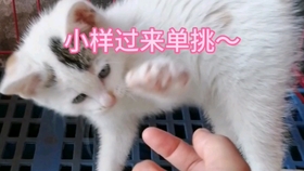 bc622a10acc662adf323e1999a71159d72bf92ac.jpg@280w_158h_1c_100q.jpg