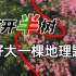 【趣味地理】鸳鸯树为何只有半边开花？地理真是啥都能出题啊！