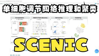 SCS【14】单细胞调节网络推理和聚类 (<em class="keyword">SCENIC</em>)