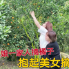 内蒙姑娘一家上山摘橘子，满山橘子随便吃，果树太高抱起美女摘