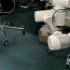 车臂一体移动机器人视觉伺服系统