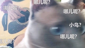 bc9c756df860605be00dda3088c549583fec896f.jpg@280w_158h_1c_100q.jpg