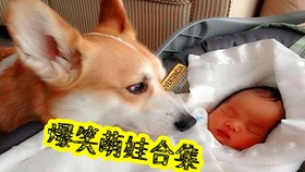 bca021462c118ac9ce4b9e3cb44bc4c19f554eda.jpg@280w_158h_1c_100q.jpg