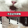 “次日达”好小众的词汇啊