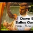 【漫步神秘园-竖琴 长笛 大提琴】Down By The Sally Gardens