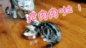 bccb1c0656c304812f57f4f51da53d6c9bdf0c1d.jpg@280w_158h_1c_100q.jpg