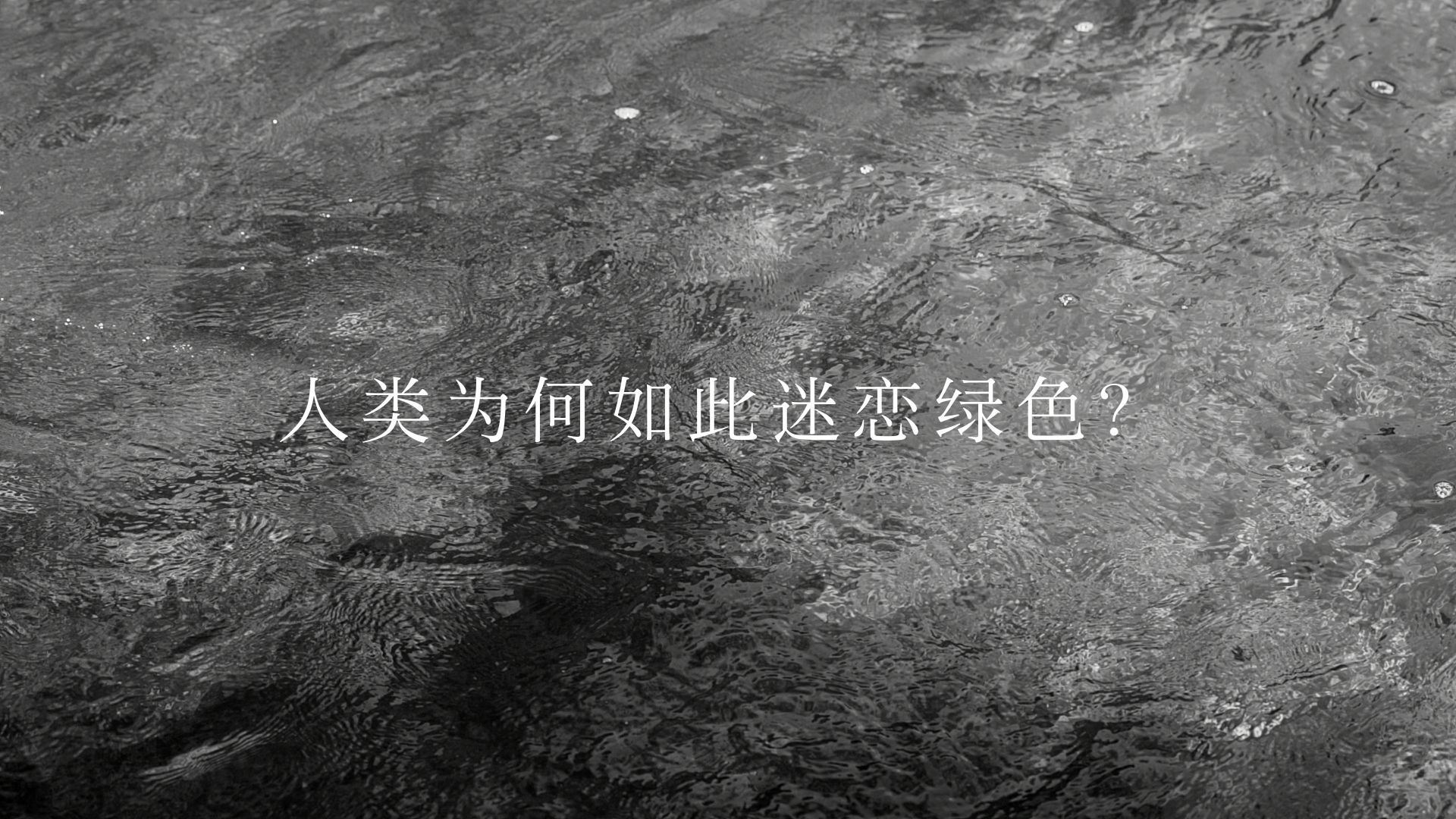 “绿” 色彩赋予镜头生命力