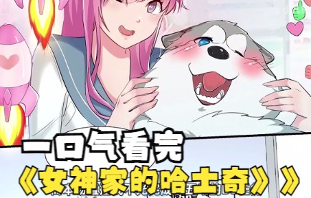 《女神家的哈士奇》1-46集秦小白穿越成了一只哈士奇.