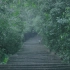【4K.3D沉浸全景声.白噪音】雨秋.寻禅——天气晚来秋！ 来吧，在秋雨中寻访山寺