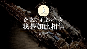 好听的萨克斯曲谱_萨克斯回家曲谱(5)