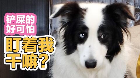 bd1f7b1a604fd3739971258df17bc83697fd9c57.jpg@480w_270h_1c