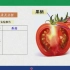 番茄柚子三色堇葵花籽