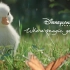 超萌！巴黎迪士尼励志动画短片-《小鸭追梦记》