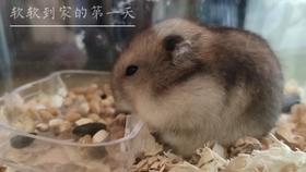 bd3e57fc535e2733aa96c88460608e5b06ebbcc9.jpg@280w_158h_1c_100q.jpg