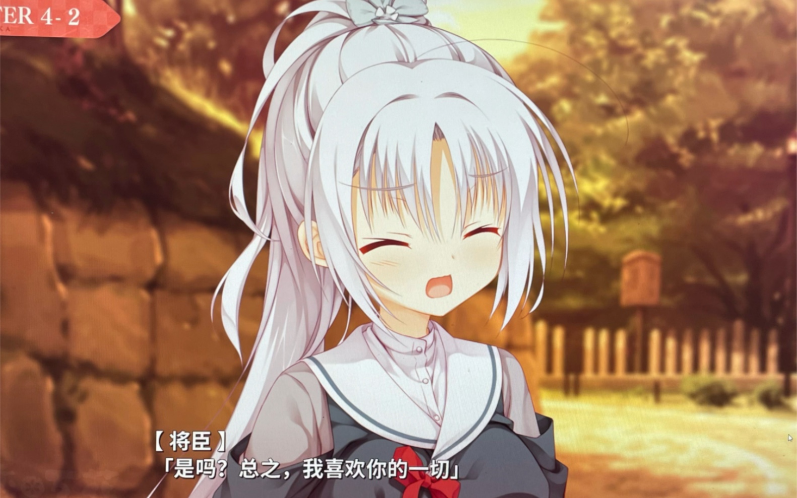 Nevertheless, I like you.