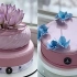 【Glaze Cake】赏心悦目的镜面蛋糕（33）